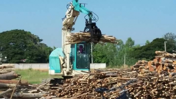 ขายด่วน แม็คโครคีบไม้ ขายด่วน แม็คโครคีบไม้