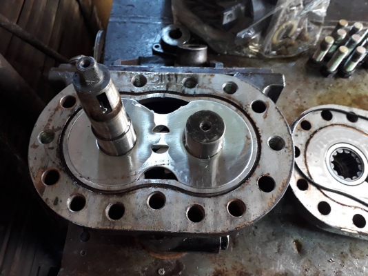 ขายปั๊มดั๊มใหม่ มือสอง รับซ่อม