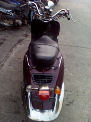 ่รถป๊อบ jungle ่รถป๊อบ jungle