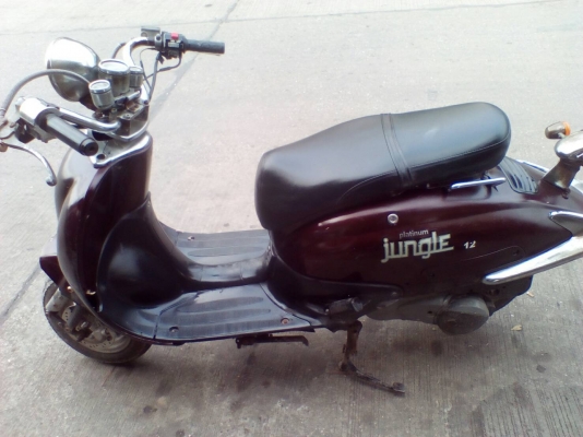 ่รถป๊อบ jungle ่รถป๊อบ jungle