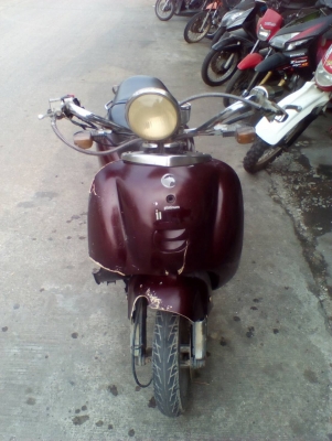 ่รถป๊อบ jungle