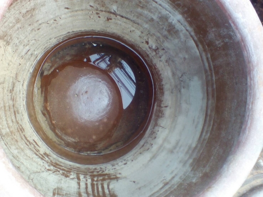 โอ่งมังกรมีสองราคา โอ่งมังกรมีสองราคา