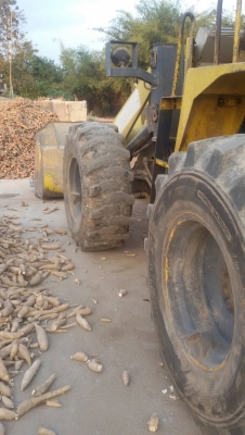 ขาย รถตัก KOBELCO LK120Z เอวอ่อน เครื่องดี ปั้มดี ยางสวย รถใช้งานอยู่ครับ ราคาต่อรองได้