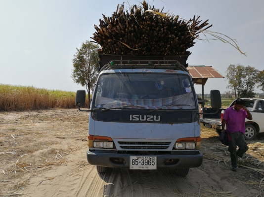 รถบรรทุก 6ล้อ รถบรรทุก 6ล้อ