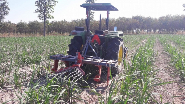 ขายคาดสปริงครับ (หนวดกุ้ง)