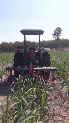 ขายคาดสปริงครับ (หนวดกุ้ง)