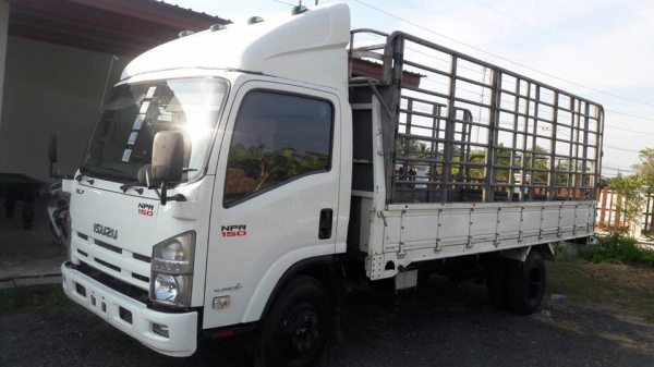 ขายรถ6ล้อ NPR 150แรง ปี56 ยาว5เมตร.50เมตร รถสวย ราคา750,000 สนใจโทร 090-8588220 090-3258446 090-4610
