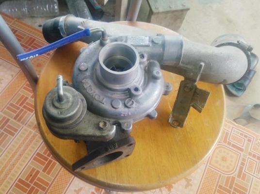 ขาย terbo tiger