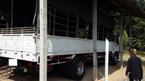 ขาย 6 ล้อ isuzu deca ปี47 ยาว 7.2m 200แรง ขาย 6 ล้อ isuzu deca ปี47 ยาว 7.2m 200แรง