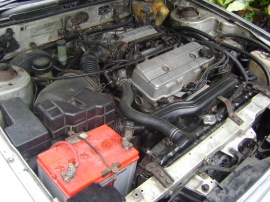 ขายแล้ว