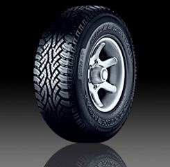 ยางใหม่  2013