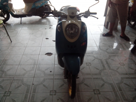 ขายฟีโน่ 3 ปี