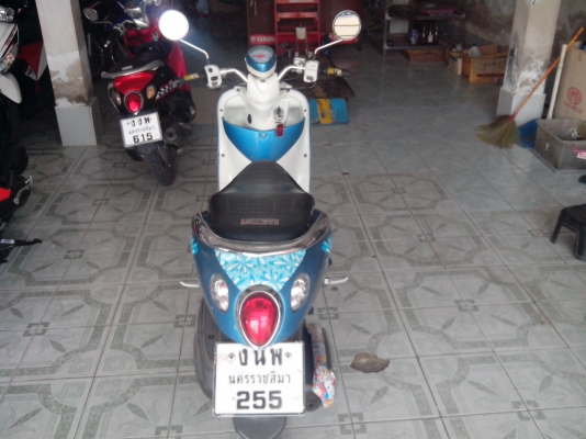 ขายฟีโน่ 3 ปี