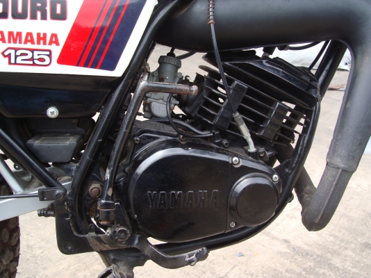 ขาย DT MONO125 ทะเบียน ไม่โอน(คุยยาก) ขาย DT MONO125 ทะเบียน ไม่โอน(คุยยาก)