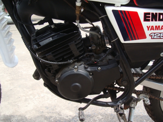 ขาย DT MONO125 ทะเบียน ไม่โอน(คุยยาก) ขาย DT MONO125 ทะเบียน ไม่โอน(คุยยาก)