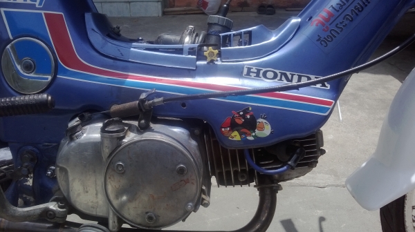 ขาย honda ชาลี