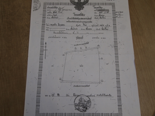 ที่สวนมะม่วง สันทราย เชียงใหม่