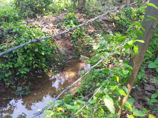 ที่สวนมะม่วง สันทราย เชียงใหม่