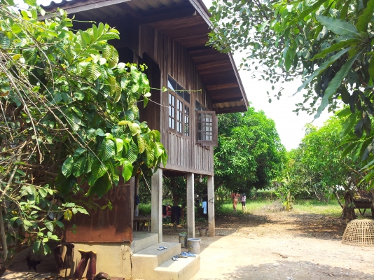 ที่สวนมะม่วง สันทราย เชียงใหม่