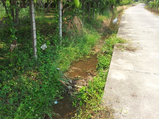 ที่สวนมะม่วง สันทราย เชียงใหม่