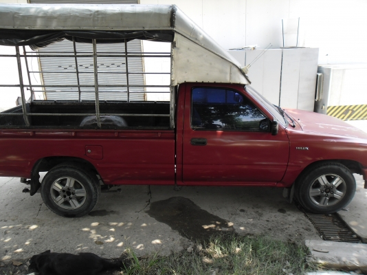 ไมตี้ ปี40 mp3 ซีดี ทีวี ประกันชั้น3