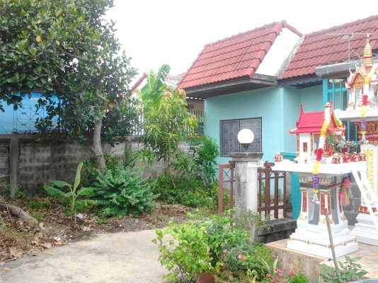 ทาวน์เฮ้าส์1ชั้น24วา