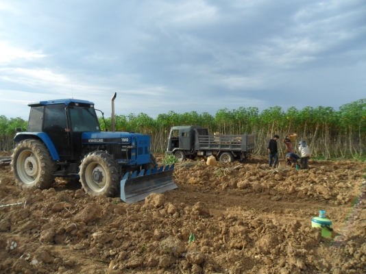 ยกเลิกการขาย รถไถฟอร์ด7840 NEW HOLLAND