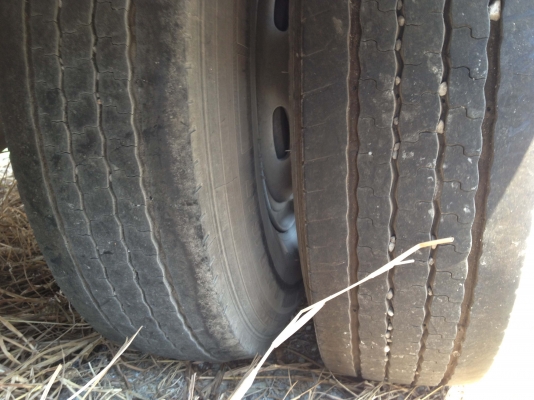 ขายรถหกล้อตู้สิบบาน Hino Mega ปี 50