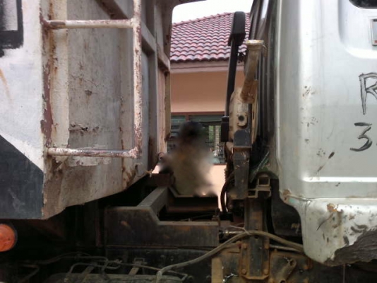 รถฮีโน่ 10 ล้อดั๊ม FM226   220 แรงม้า สนใจติดต่อ 081 - 6079515