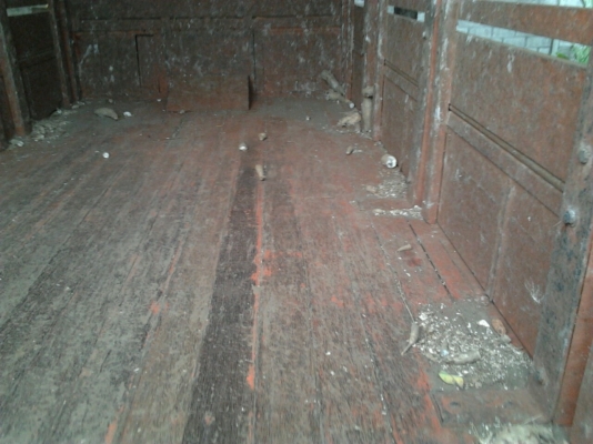 ISUZU NPR เครื่อง 175 HP 6BG1 ปี 47 หัวการ์ตูนตาหวาน กระบะเหล็กคอกไม้ทรงสูงยาว 4.50 เมตรสภาพสุดสวย เครื่องแน่นแรงดีฝาส้มไม่มีเยิ้ม ลงเล่มครบถูกต้อง หัวเก๋งตาหวานภายในสวยครบพร้อม แอร์เย็น พวงมาลัยเพาเวอร์ เบรคทริ๊ปฟี้ ช่วงล่างใหญ่ F หน้าหลังครบ เอกสารทะเบี ISUZU NPR เครื่อง 175 HP 6BG1 ปี 47 หัวการ์ตูนตาหวาน กระบะเหล็กคอกไม้ทรงสูงยาว 4.50 เมตรสภาพสุดสวย เครื่องแน่นแรงดีฝาส้มไม่มีเยิ้ม ลงเล่มครบถูกต้อง หัวเก๋งตาหวานภายในสวยครบพร้อม แอร์เย็น พวงมาลัยเพาเวอร์ เบรคทริ๊ปฟี้ ช่วงล่างใหญ่ F หน้าหลังครบ เอกสารทะเบี