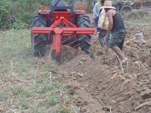 ผานขุดมัน ต่อทอง ขาย 18,000