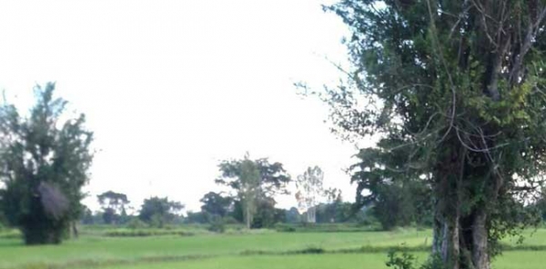 ขายที่ดิน