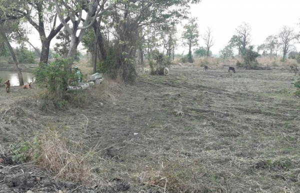 ขายที่ดิน