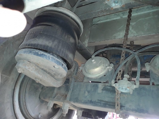 ขายเพรายกล้อ หางเทเลอร์