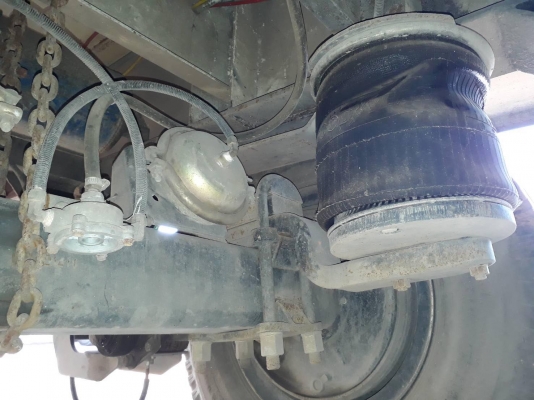 ขายเพรายกล้อ หางเทเลอร์