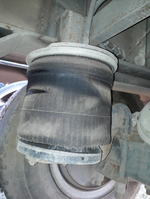 ขายเพรายกล้อ หางเทเลอร์