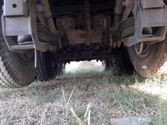 ขายเพรายกล้อ หางเทเลอร์