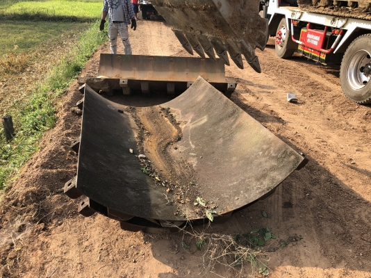 ขาย เปลือกหนาม  3 ชิ้น พร้อมที่ครุดดิน