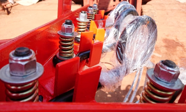 จำหน่ายหนวดกุ้งคราดหญ้าอ้อย จำหน่ายหนวดกุ้งคราดหญ้าอ้อย