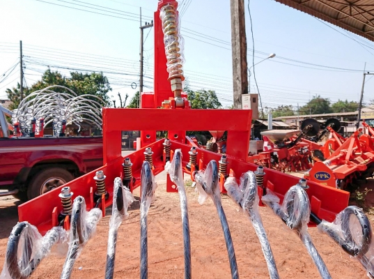 จำหน่ายหนวดกุ้งคราดหญ้าอ้อย จำหน่ายหนวดกุ้งคราดหญ้าอ้อย