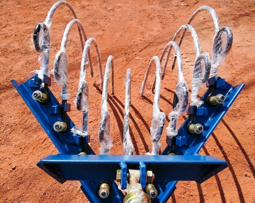 จำหน่ายหนวดกุ้งคราดหญ้าอ้อย จำหน่ายหนวดกุ้งคราดหญ้าอ้อย