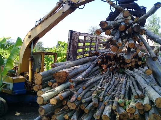 ขายแบคโฮล้อยางPC60ติดปากคีบ 290000 บาท