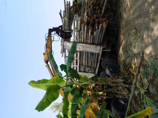 ขายแบคโฮล้อยางPC60ติดปากคีบ 290000 บาท