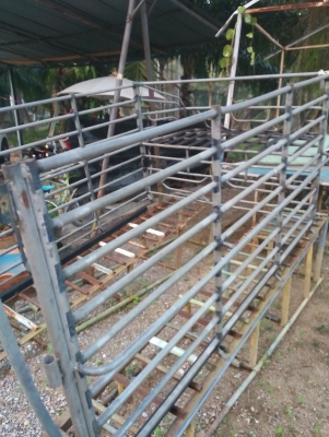 ลุกกรง9ชั้น