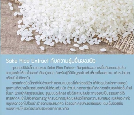 มาส์กข้าวสาเกญี่ปุ่นเข้มข้น กระปุกใหญ่ มาส์กข้าวสาเกญี่ปุ่นเข้มข้น กระปุกใหญ่