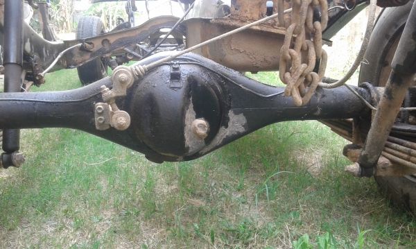 ขายแซสซี ไมตี้ เอาไปช่วยทำมาหากิน รวยไวๆ ขายแซสซี ไมตี้ เอาไปช่วยทำมาหากิน รวยไวๆ