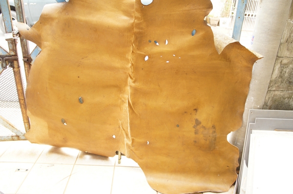 หนังวัวแท้ทั้งตัว หนังวัวแท้ทั้งตัว