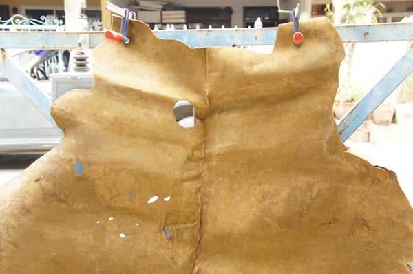 หนังวัวแท้ทั้งตัว หนังวัวแท้ทั้งตัว