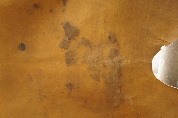 หนังวัวแท้ทั้งตัว หนังวัวแท้ทั้งตัว