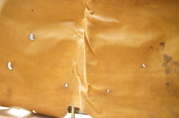 หนังวัวแท้ทั้งตัว หนังวัวแท้ทั้งตัว